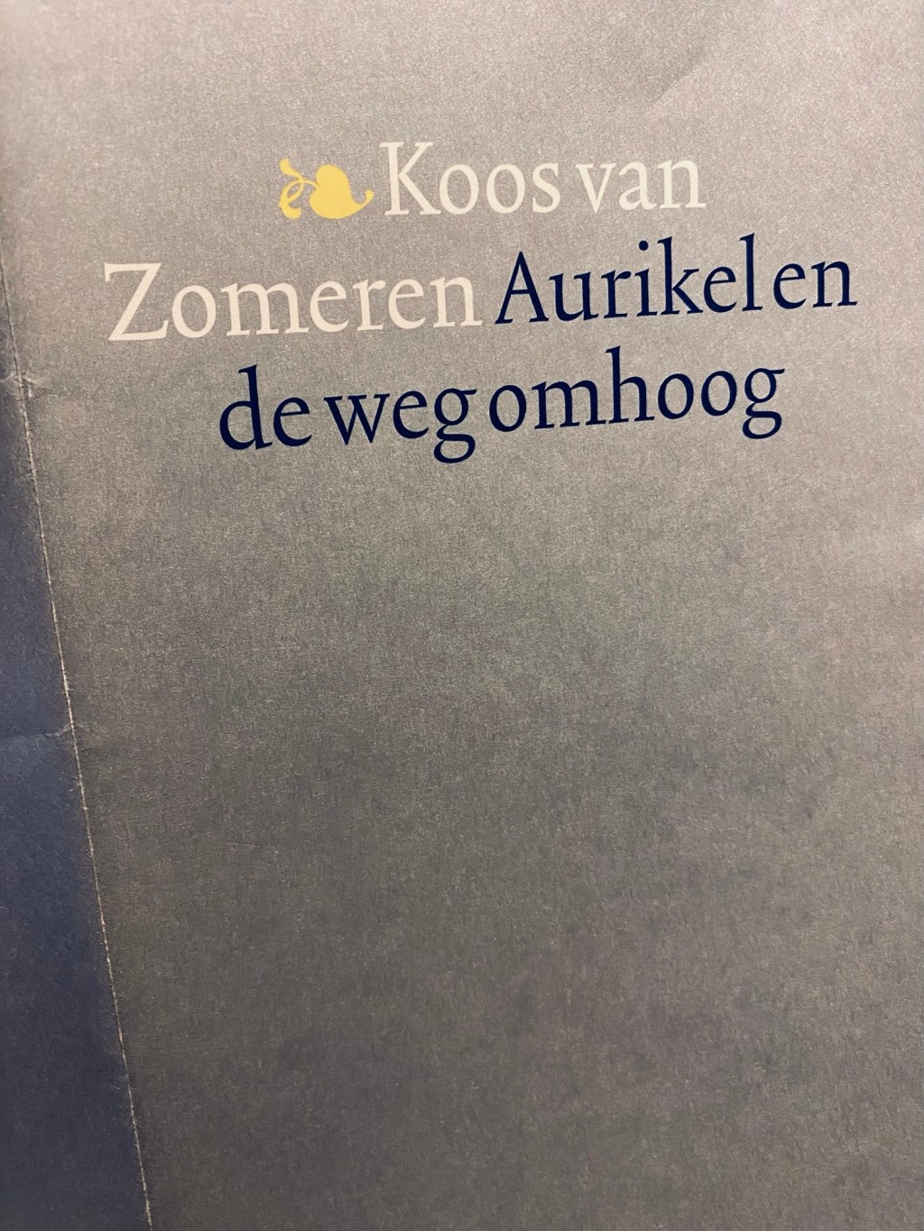 Villgrater Joch, Koos van Zomeren