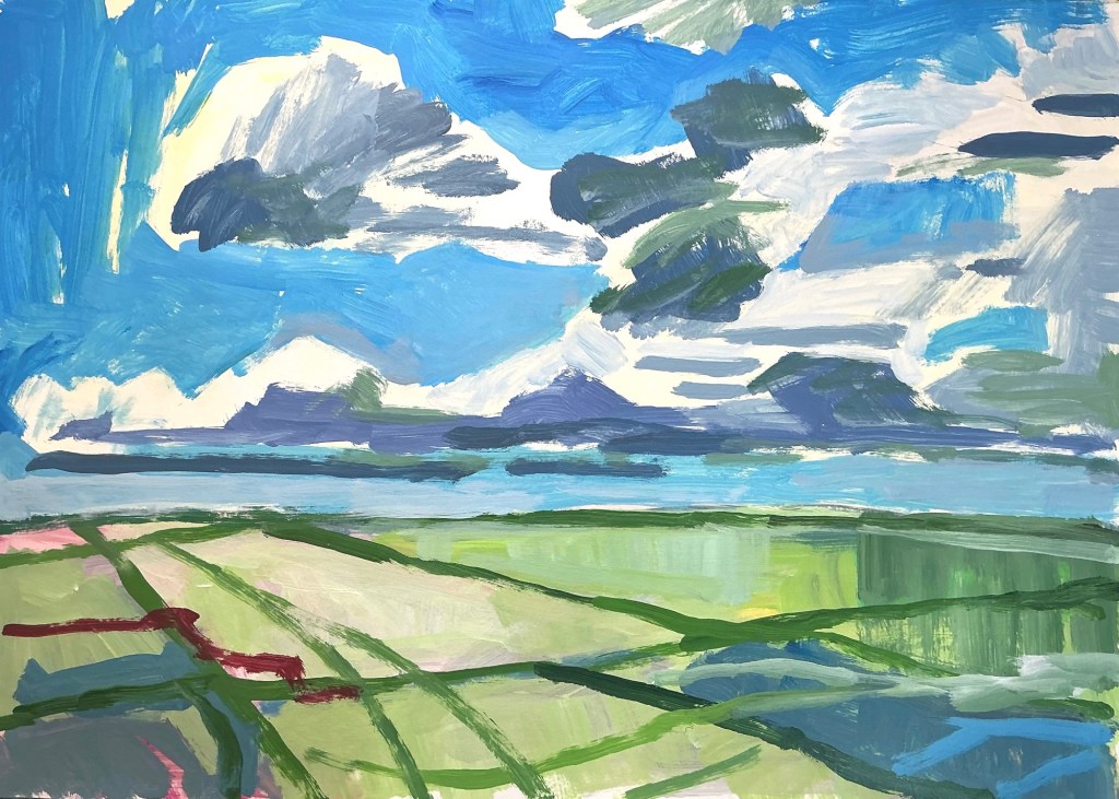 Zomer in Friesland